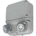 Hubbell Lighting Hubbell DYN12I-06L Dynamo Industrial LED Emergency Unit, Wet Rated, 6W LED Lamps, Self-Diagnostics DYN12I-06L